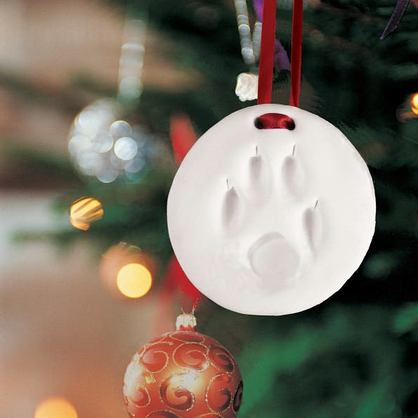 Pet Impression Ornament Kit