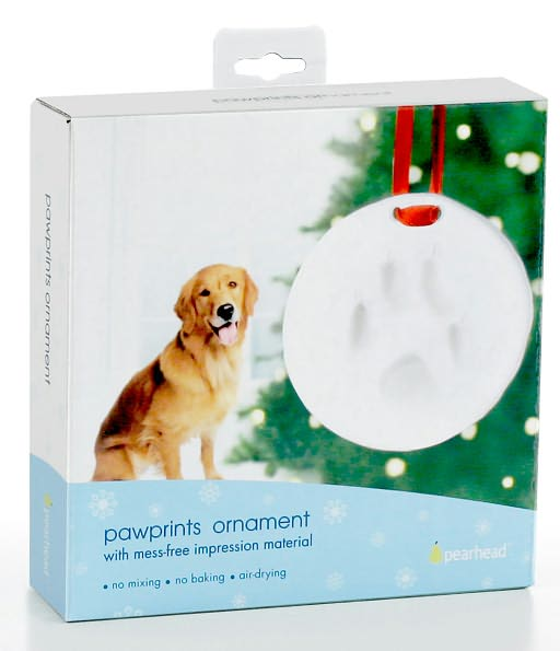 Pet Impression Ornament Kit