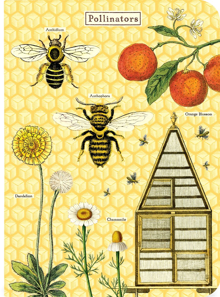 Bees & Honeys Mini Journals