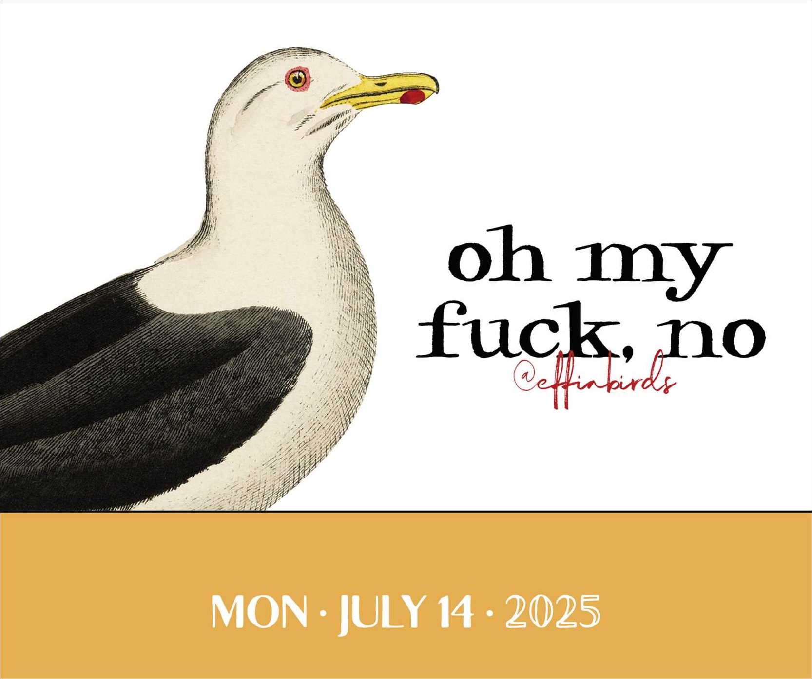 2025 Effin' Birds Day-to-Day Desk Calendar