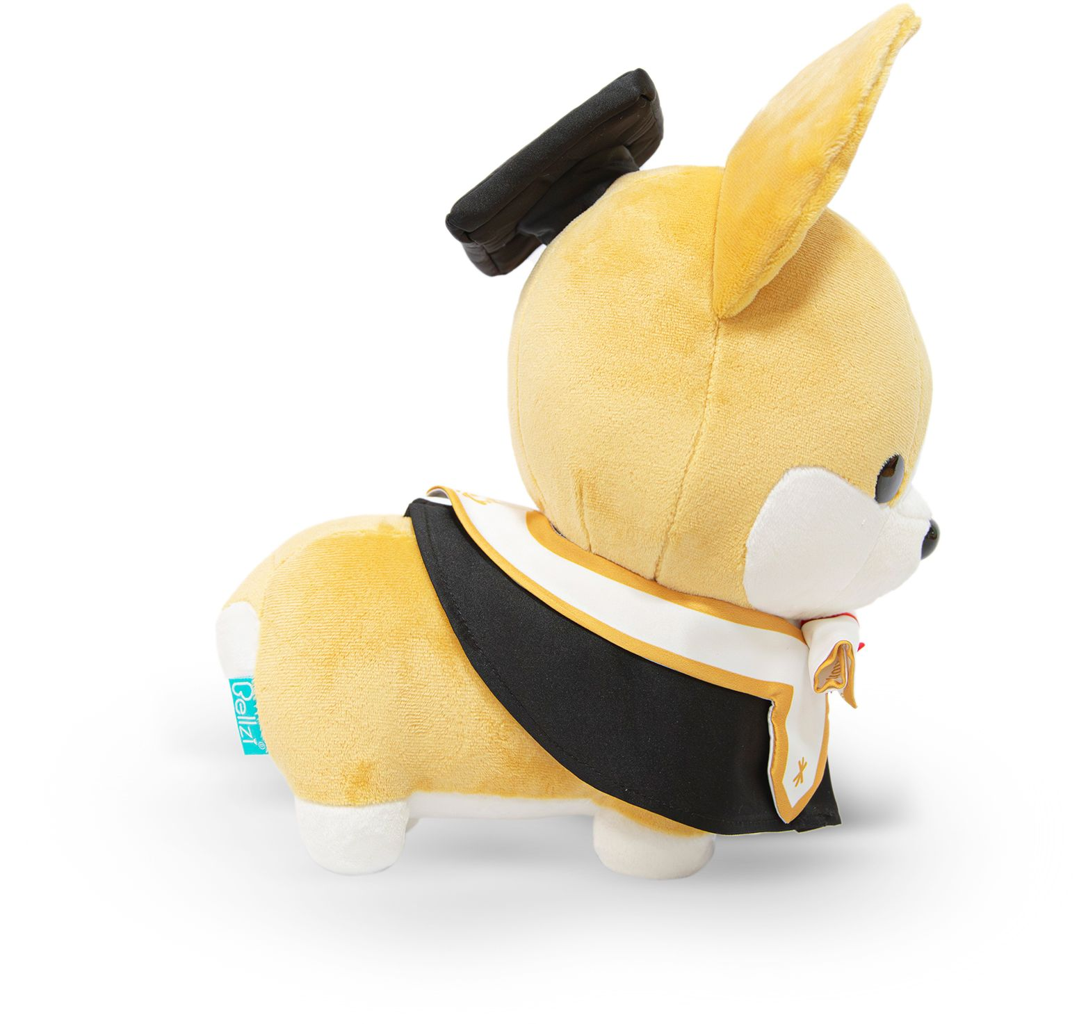 Graduation Corgi Plush