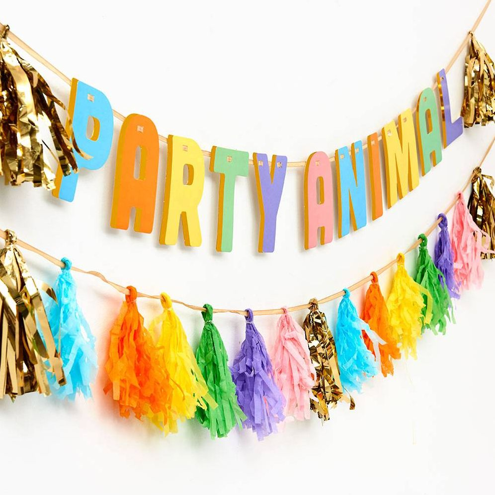 Balloon Party Animal Tassel Banner