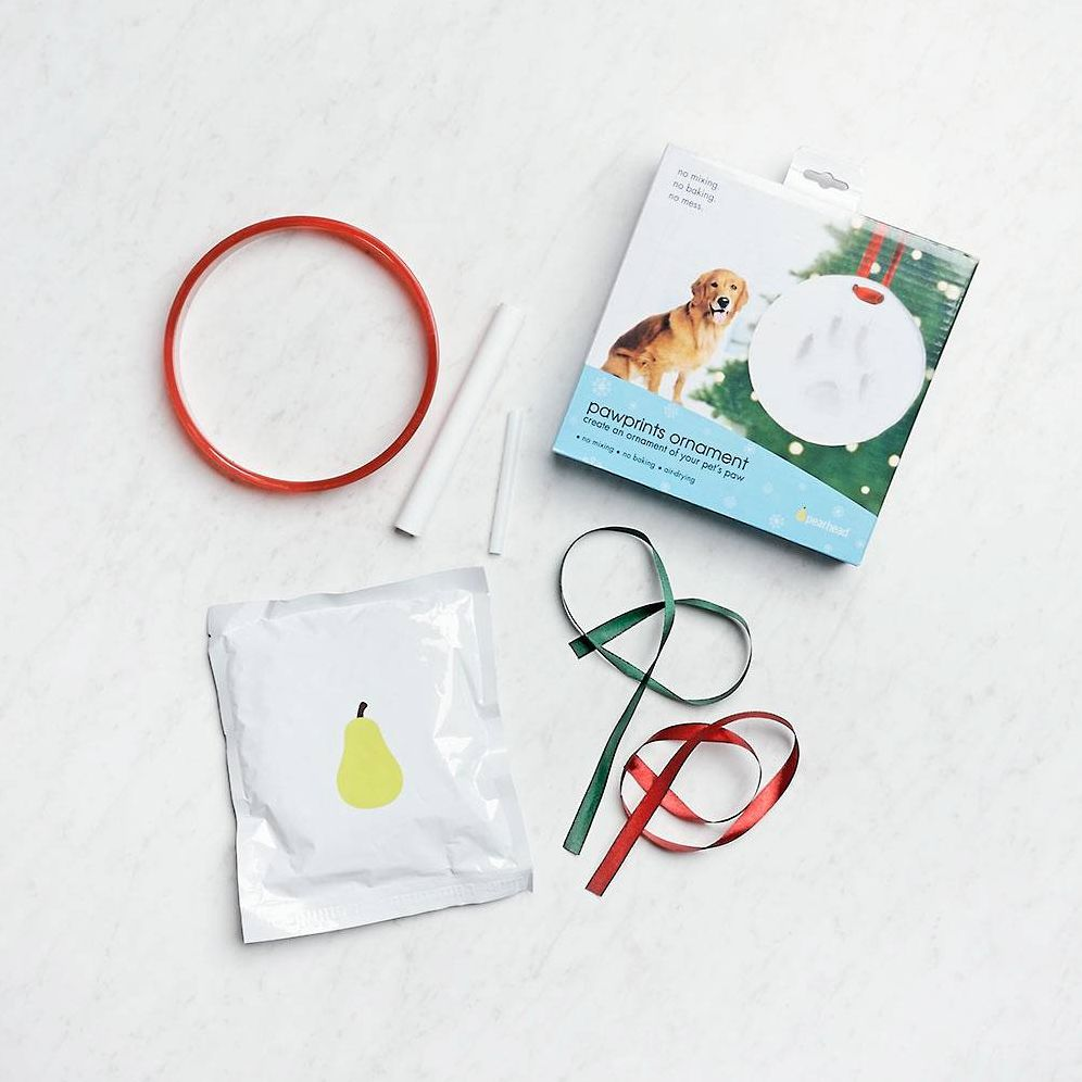 Pet Impression Ornament Kit