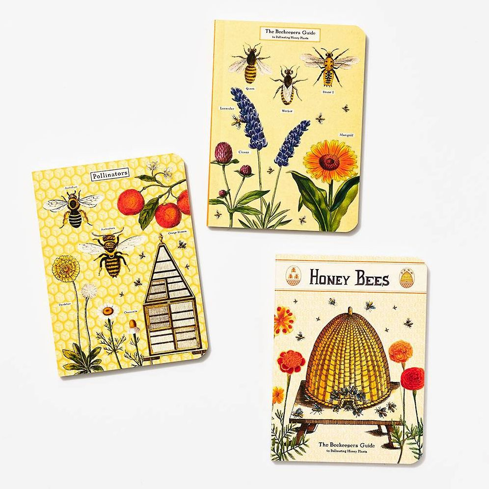 Bees & Honeys Mini Journals