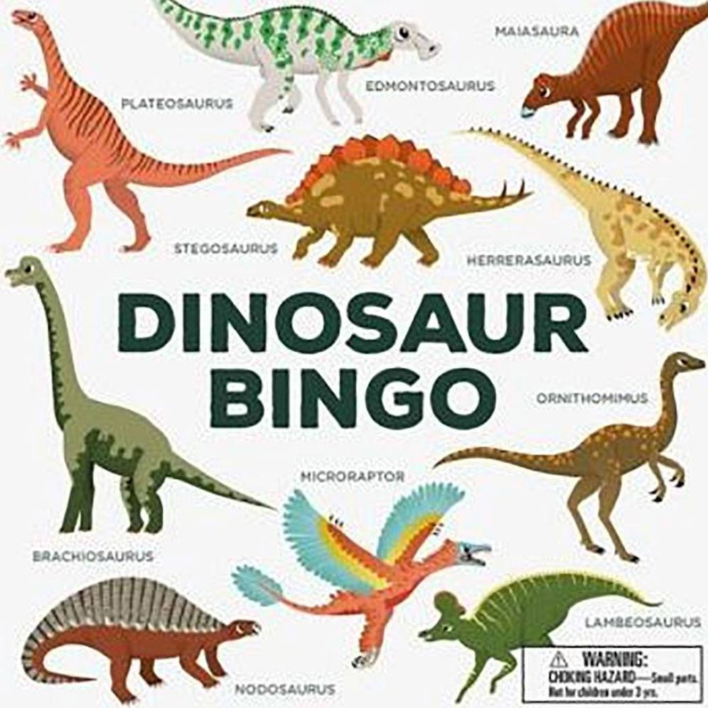 Dinosaur Bingo: (An easy-to-play game for children and families)