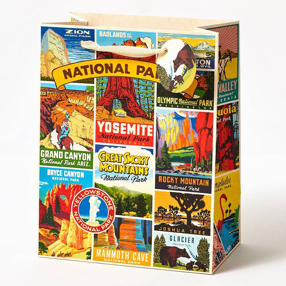 Cavallini & Co. National Parks Medium Gift Bag