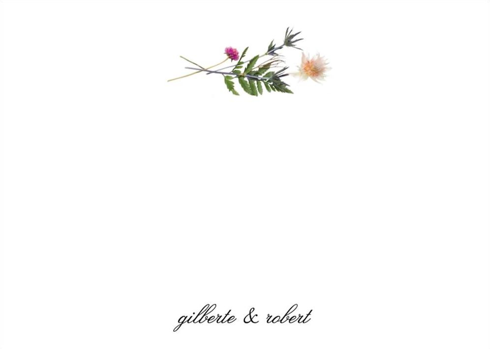 Petites Fleurs Sauvage Stationery