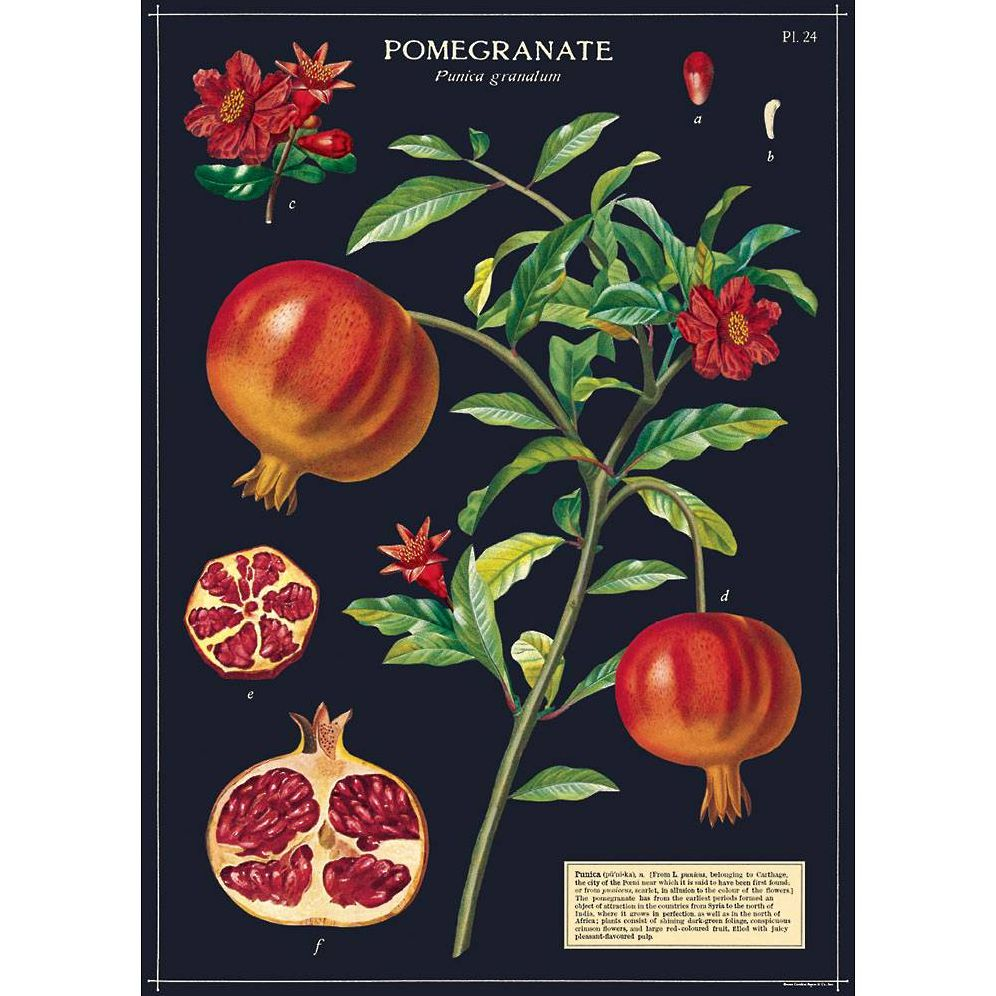 Pomegranate Wrap & Poster