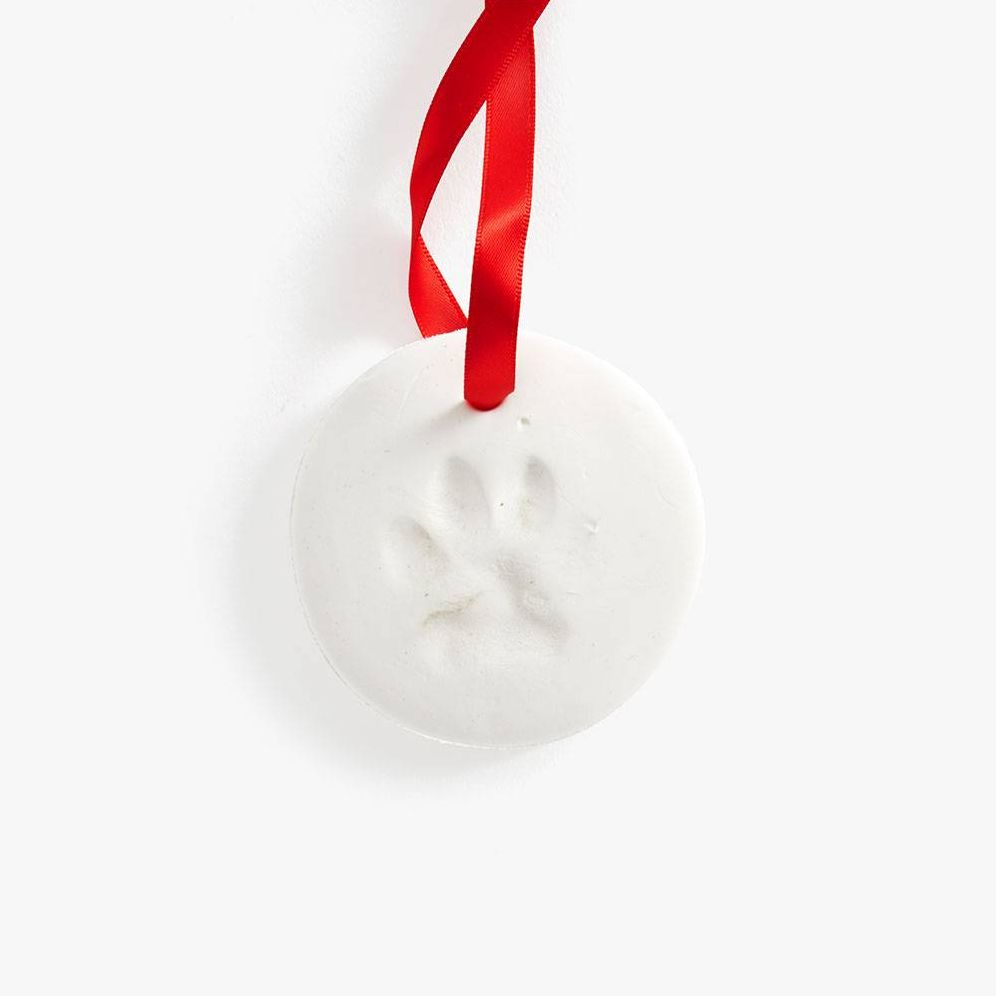 Pet Impression Ornament Kit