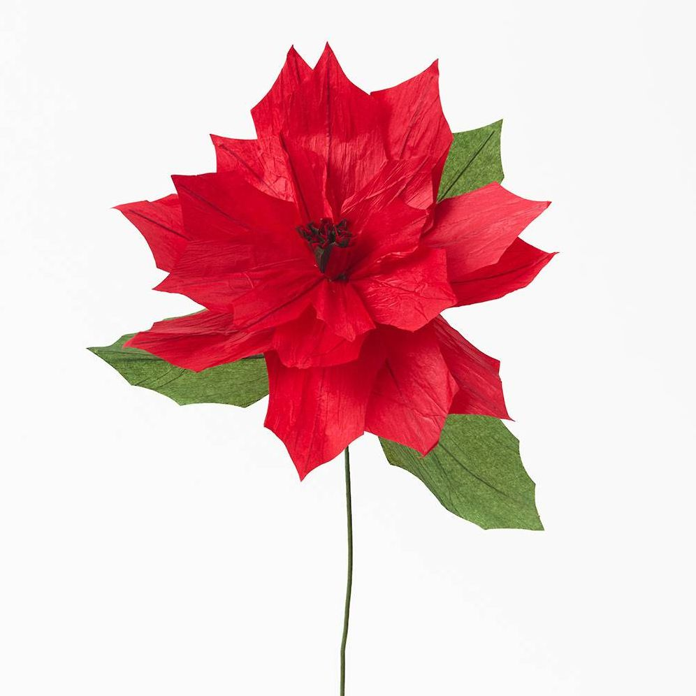 Poinsettia Paper Flower